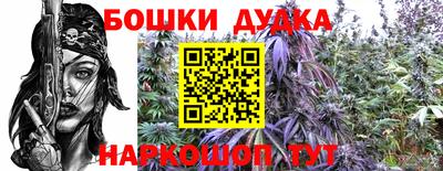 spice Кунгур
