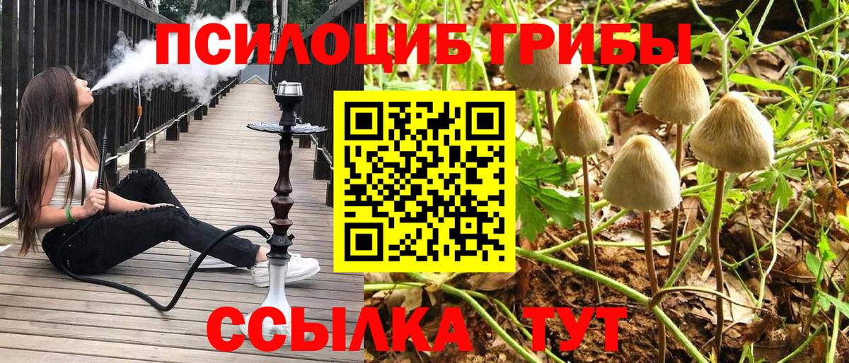 хочу   Вход с VPN  Карпинск  Галлюциногенные грибы прущие грибы 